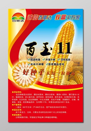 百思达百玉11玉米种业粮食农产品海报